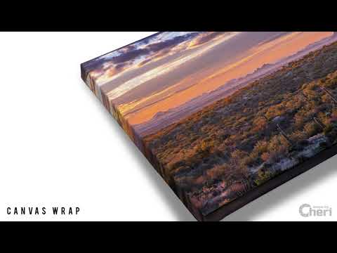 Bradenton’s Robinson Preserve Tower: Bradenton Florida Wood Tower Print Wall Art Photography Aluminum/Acrylic/Metal/Canvas
