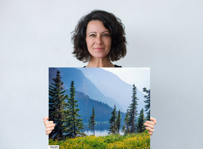 Botanical Wonderland: Summer Wildflowers at Glacier Montana Landscape Photography Metal Canvas Print Nature Wall Art