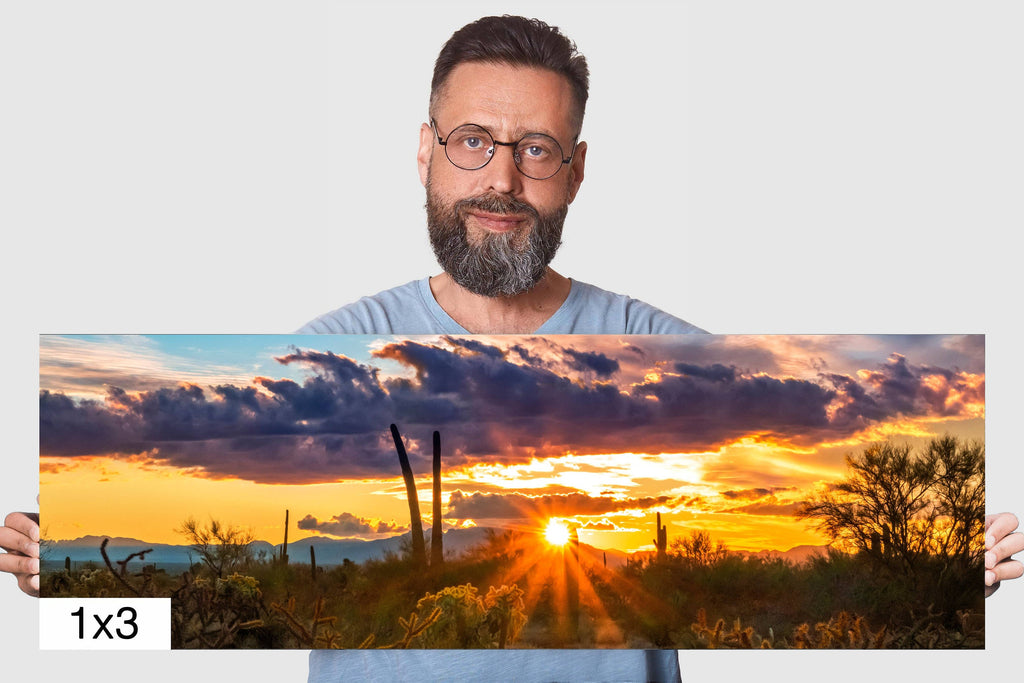 Sonoran Desert Sunset: Tucson Mountain Park Landscape Photography Wall Art