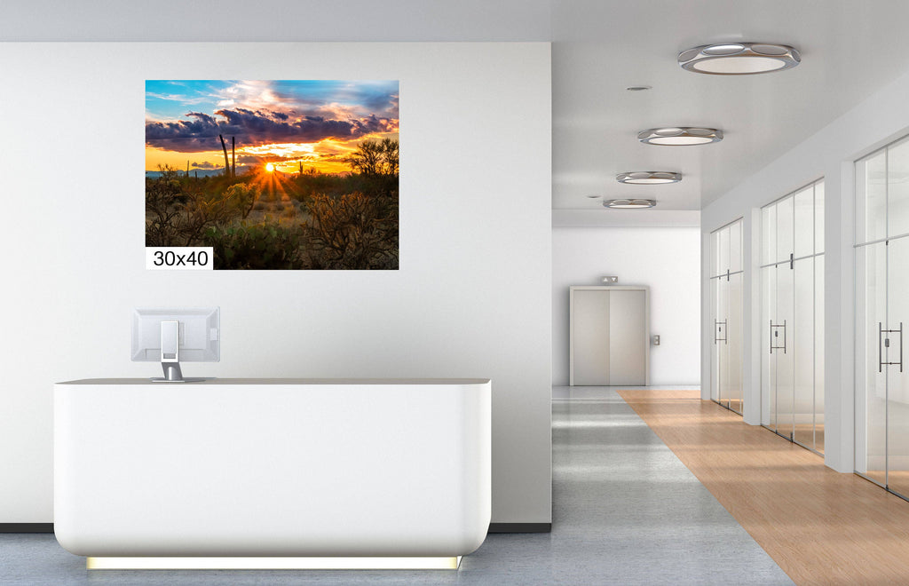 Sonoran Desert Sunset: Tucson Mountain Park Landscape Photography Wall Art