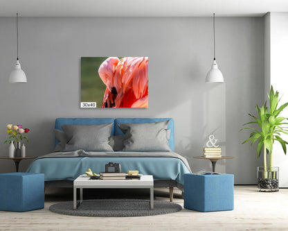 Flamingo Naptime: Wildlife and Nature Photography Pink Flamingo Bird Metal Canvas Print Flamingo Sleeping Wall Art