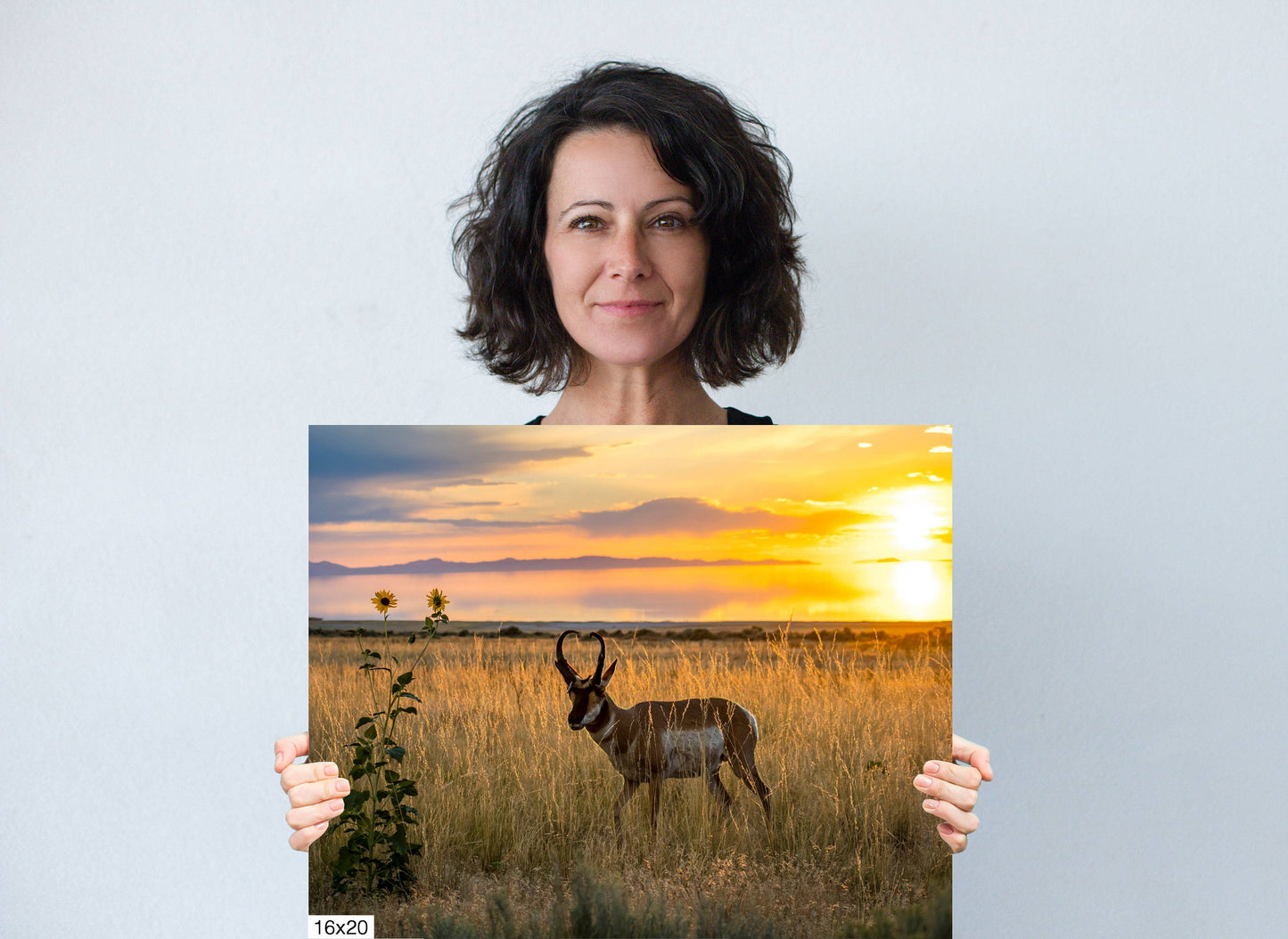 Sunset Haven: Antelope Island State Park Pronghorn Wildlife Canvas Print Sunset Photography Utah Home Decor