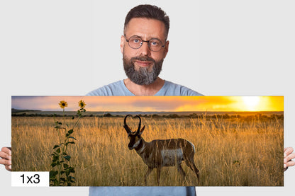 Sunset Haven: Antelope Island State Park Pronghorn Wildlife Canvas Print Sunset Photography Utah Home Decor