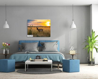 Sunset Haven: Antelope Island State Park Pronghorn Wildlife Canvas Print Sunset Photography Utah Home Decor