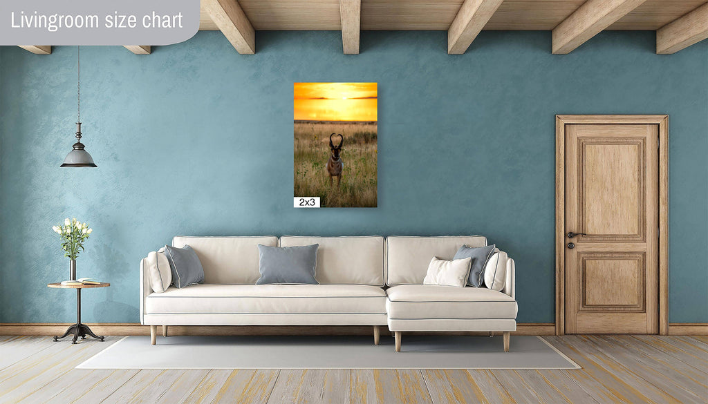 Golden Hour Grace: Pronghorn at Sunset Antelope Island National Park Wildlife Photography Wall Art