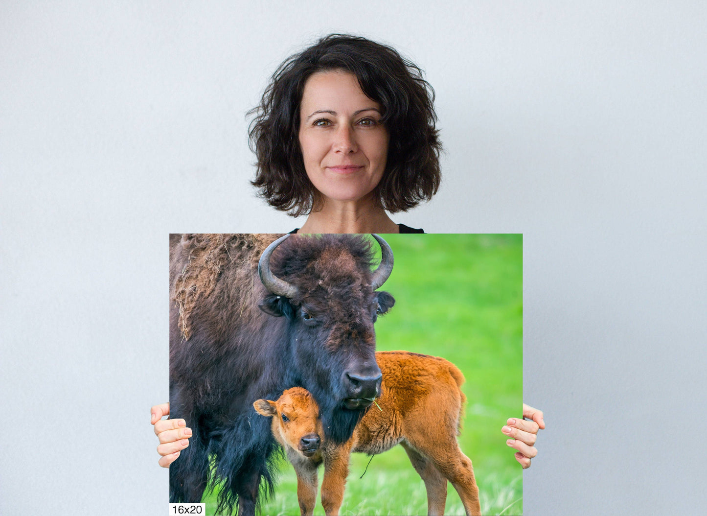 A Mother's Love: Mama and Baby Bison Western Wildlife Photography Canvas Print Animal Wall Art