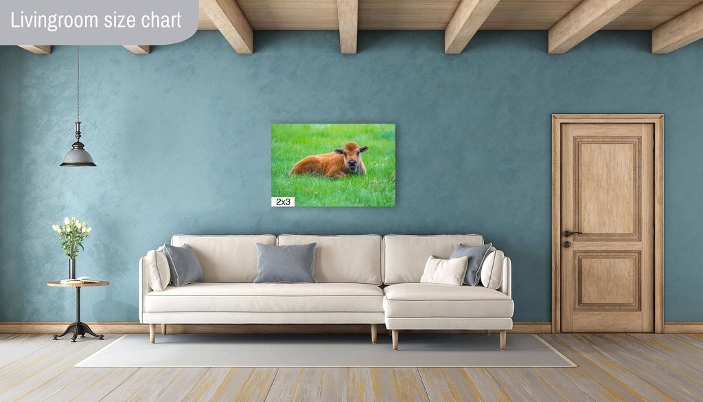 Mama and Baby Bison Photography Print: Western Wildlife Canvas Wall Art