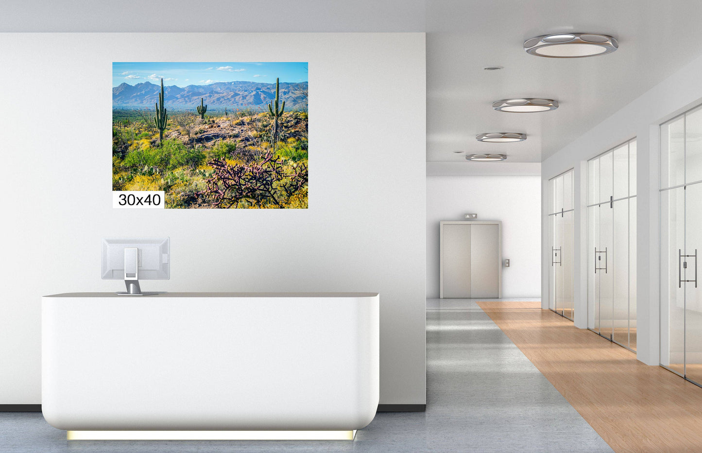 Desert Tapestry: Saguaro National Park East Arizona Cactus Photography Wall Art