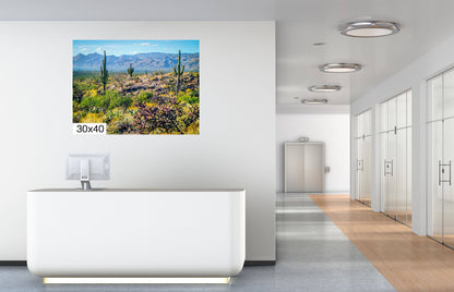Desert Tapestry: Saguaro National Park East Arizona Cactus Photography Wall Art