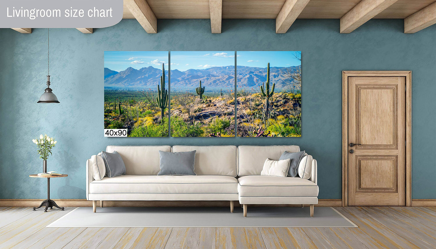 Desert Tapestry: Saguaro National Park East Arizona Cactus Photography Wall Art