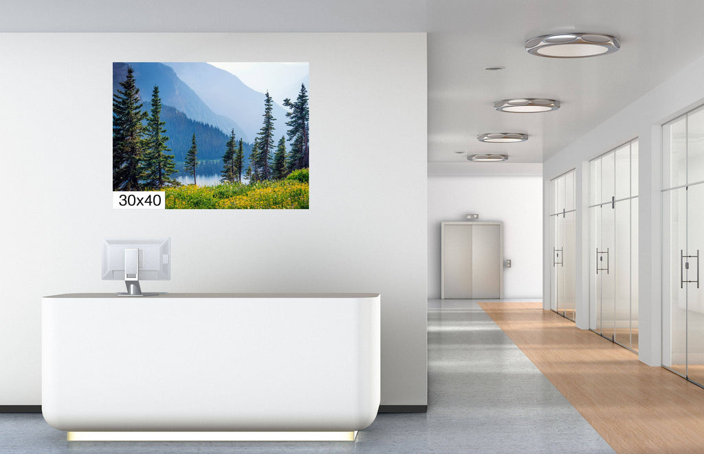 Glacier National Park Print: Summer Wildflowers Landscape Wall Art