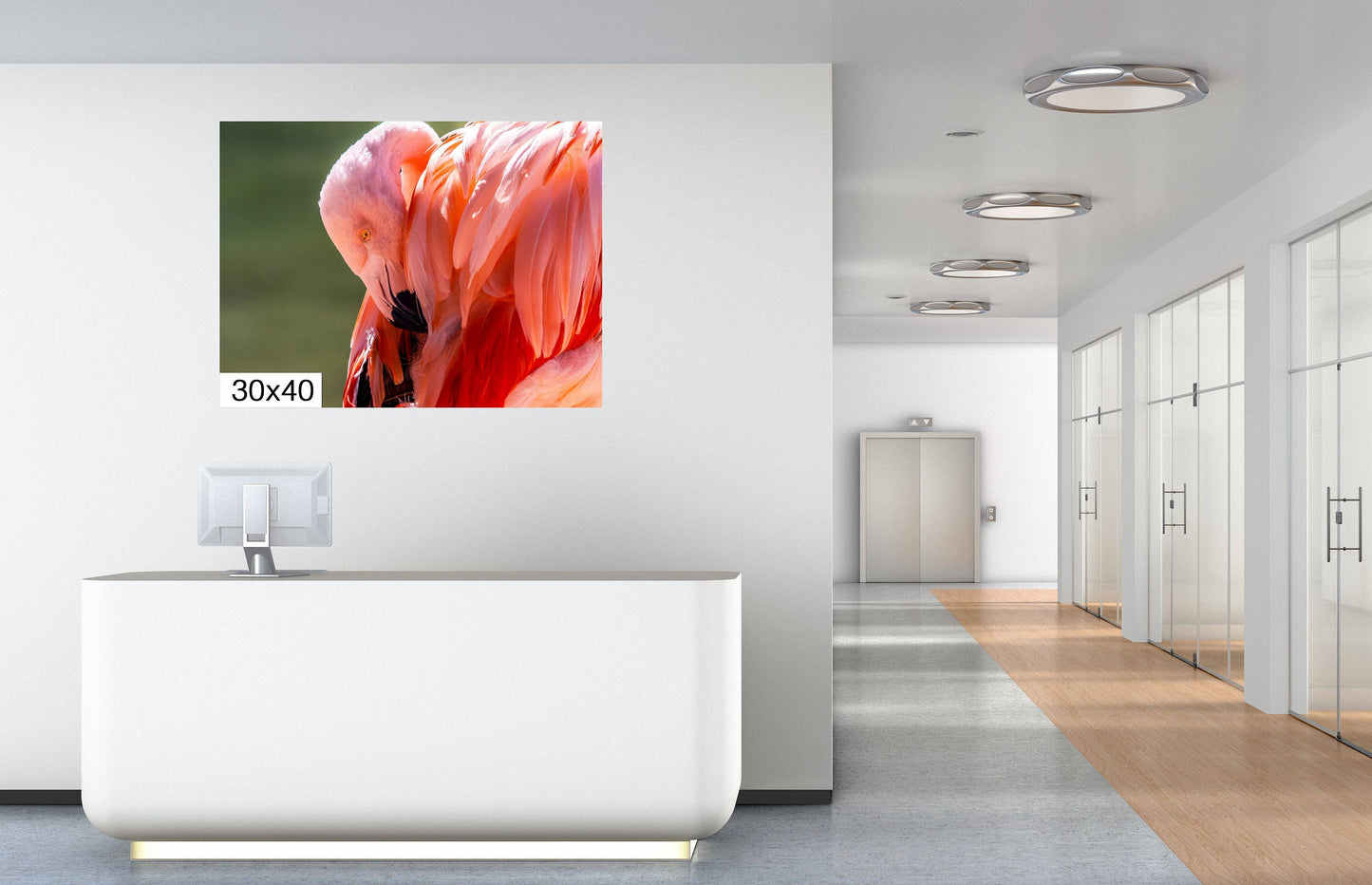 Flamingo Naptime: Wildlife and Nature Photography Pink Flamingo Bird Metal Canvas Print Flamingo Sleeping Wall Art