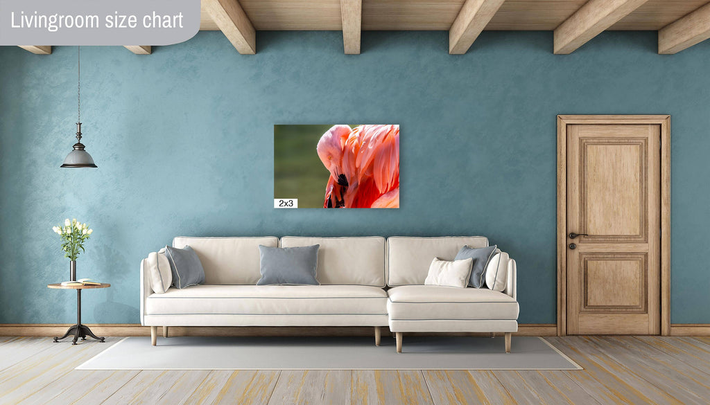 Flamingo Naptime: Wildlife and Nature Photography Pink Flamingo Bird Metal Canvas Print Flamingo Sleeping Wall Art