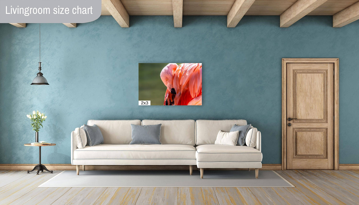 Flamingo Naptime: Wildlife and Nature Photography Pink Flamingo Bird Metal Canvas Print Flamingo Sleeping Wall Art