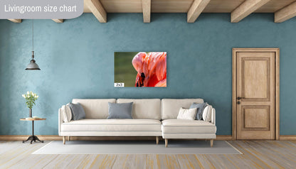 Flamingo Naptime: Wildlife and Nature Photography Pink Flamingo Bird Metal Canvas Print Flamingo Sleeping Wall Art