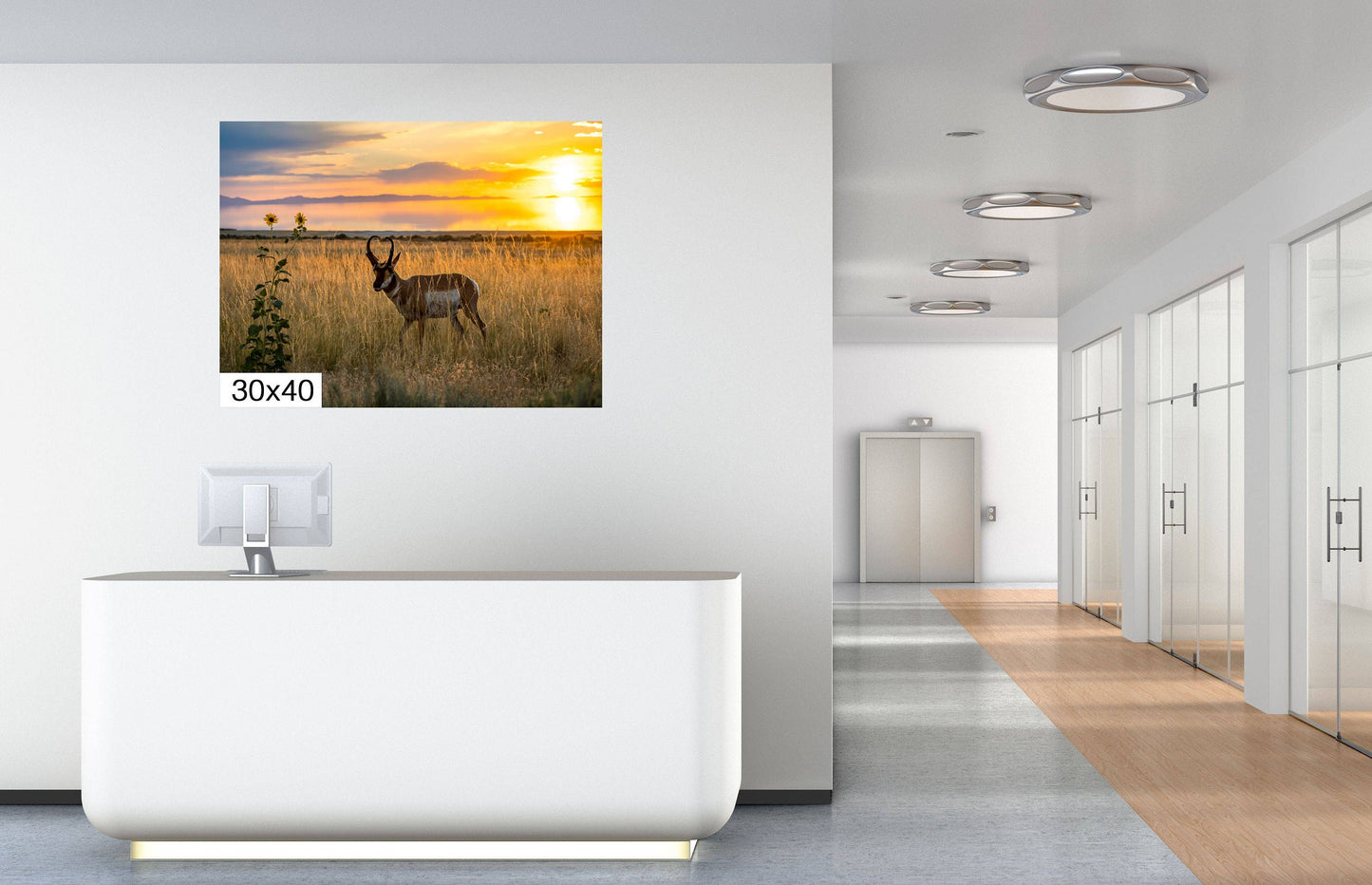 Sunset Haven: Antelope Island State Park Pronghorn Wildlife Canvas Print Sunset Photography Utah Home Decor