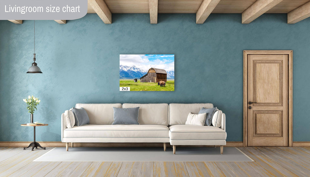 Grand Teton National Park Print: Thomas Murphy Barn, Bison, Mountain Landscape