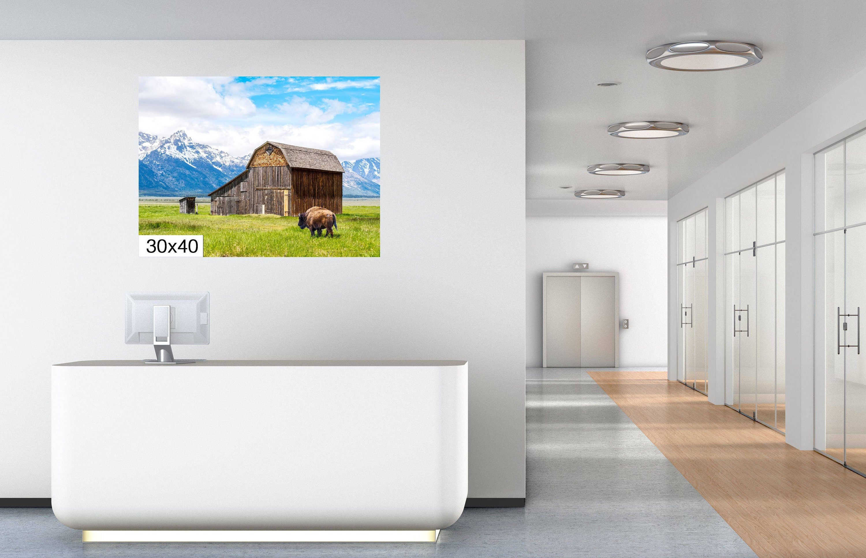 Grand Teton National Park Print: Thomas Murphy Barn, Bison, Mountain Landscape