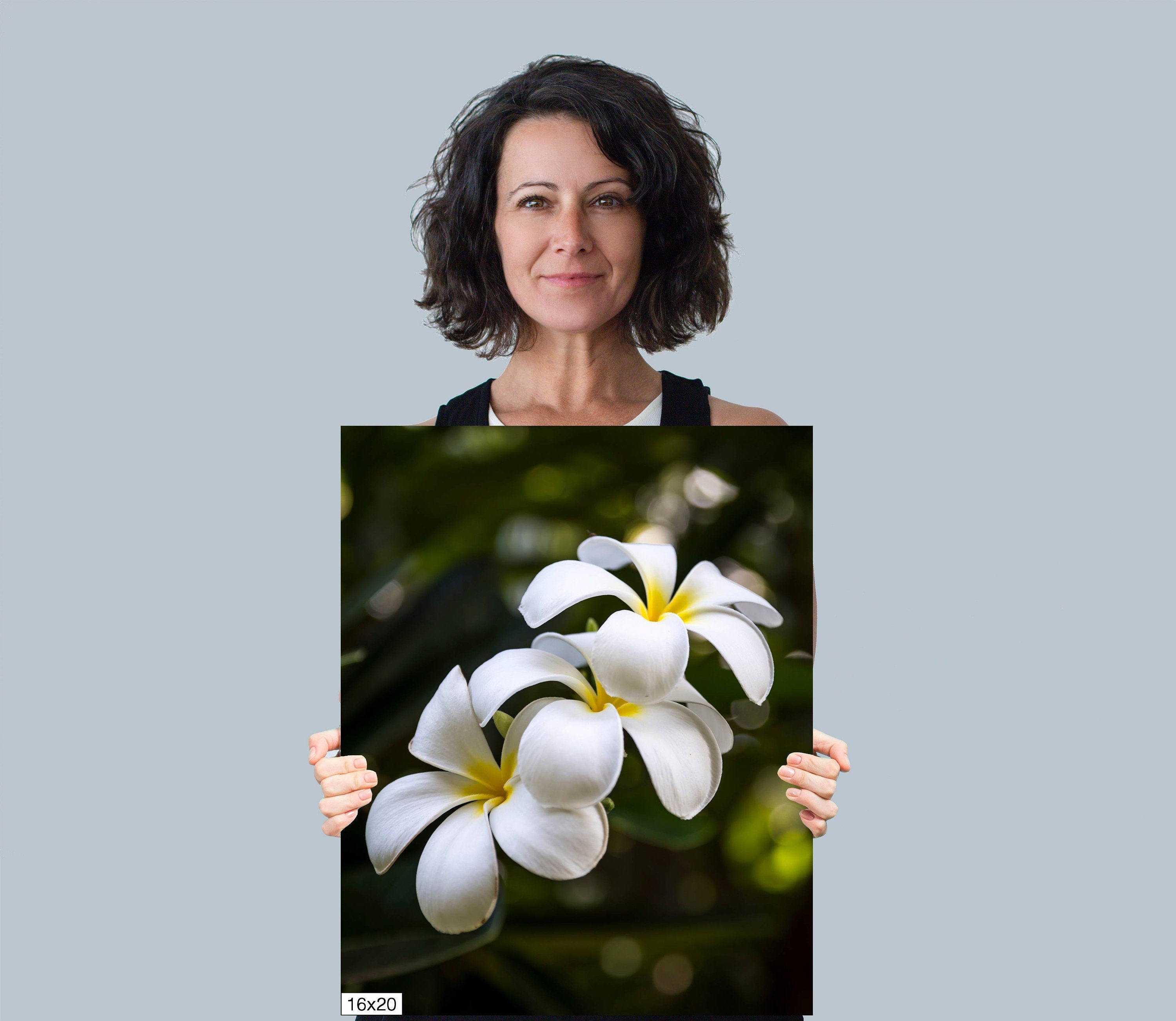 Island Elegance: Hawaiian White Plumeria Flower Photography Wall Art Nature Print