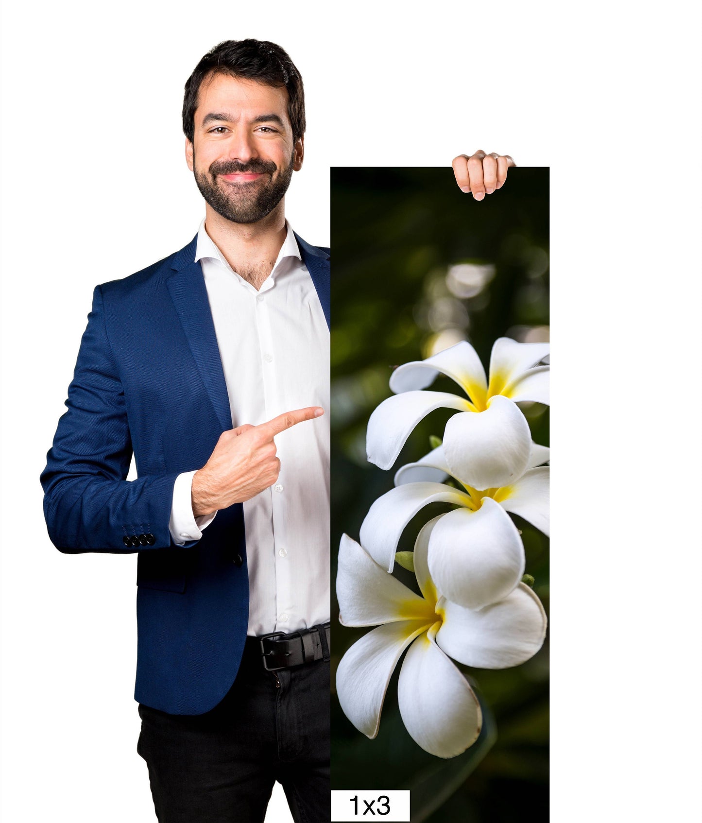 Island Elegance: Hawaiian White Plumeria Flower Photography Wall Art Nature Canvas Print