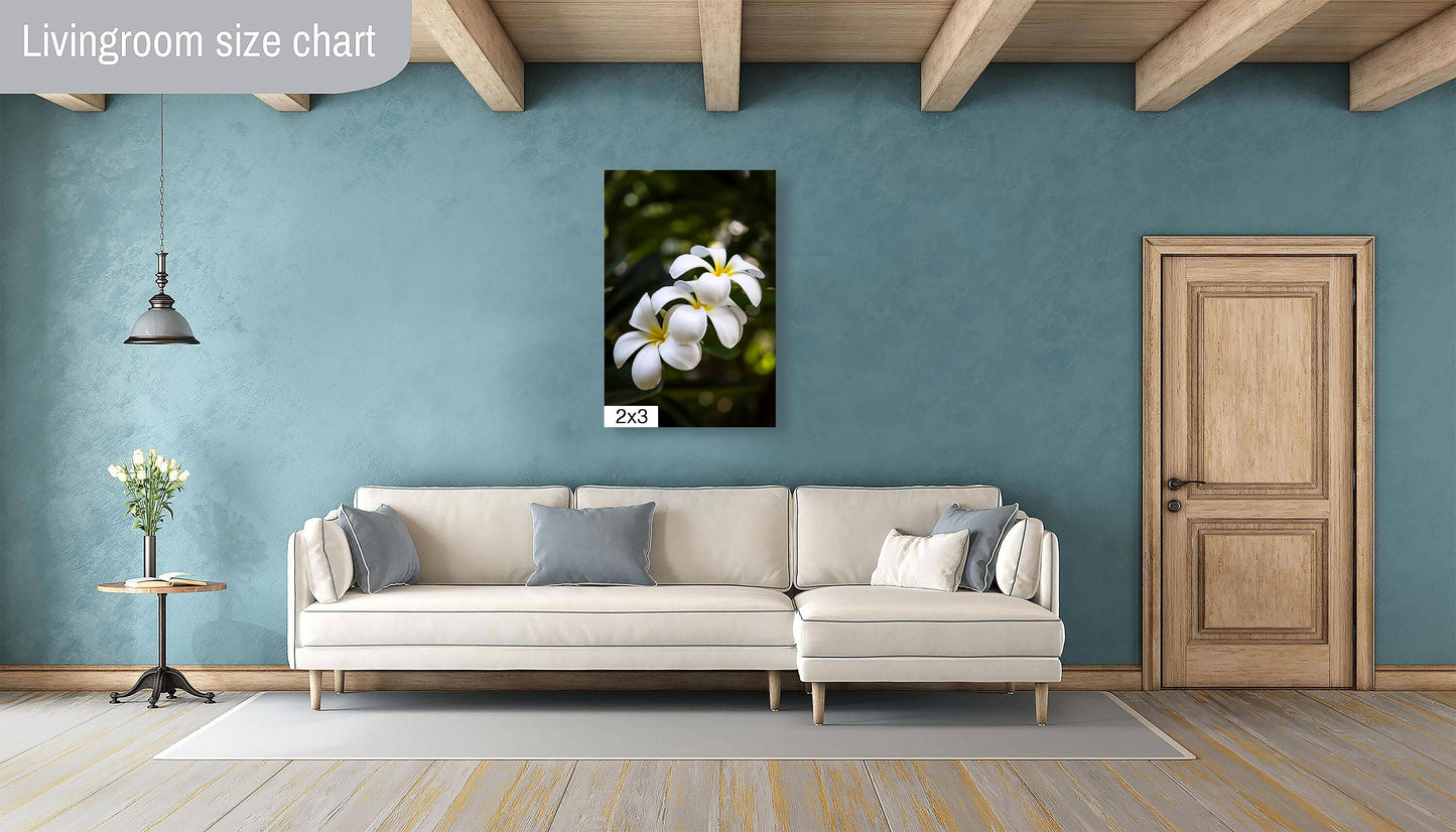 Island Elegance: Hawaiian White Plumeria Flower Photography Wall Art Nature Canvas Print