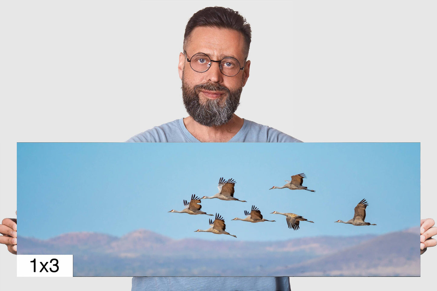 Dancing in the Sky: Sandhill Cranes in Flight Bird Watching Photography Nature Wall Art Print