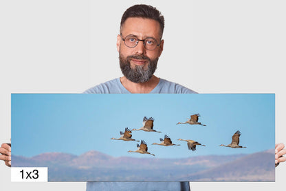 Dancing in the Sky: Sandhill Cranes in Flight Bird Watching Photography Nature Wall Art Print