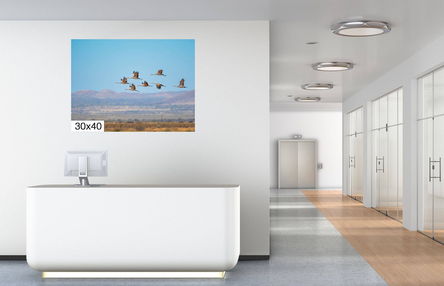 Dancing in the Sky: Sandhill Cranes in Flight Bird Watching Photography Nature Wall Art Print