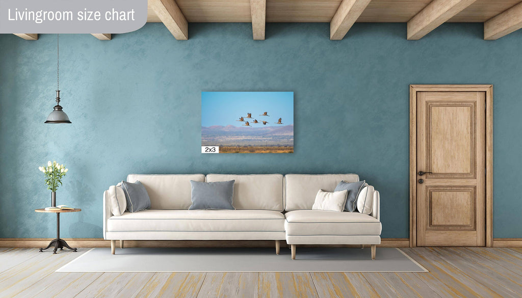 Dancing in the Sky: Sandhill Cranes in Flight Bird Watching Photography Nature Wall Art Print