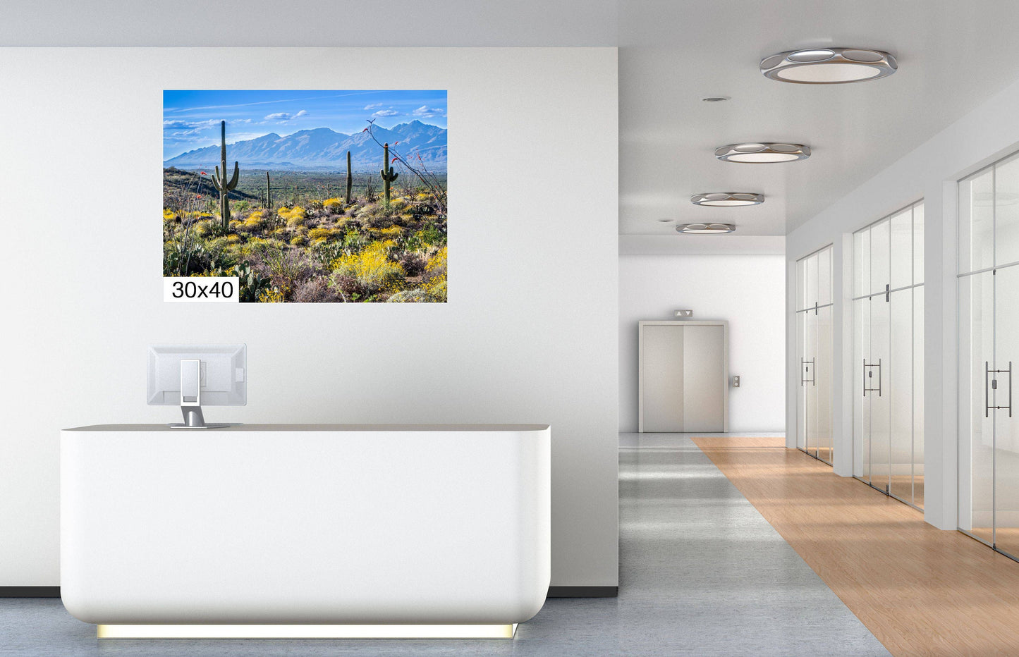 Nature's Contrast: Yellow Desert Cactus Saguaro National Park Wall Art Photography