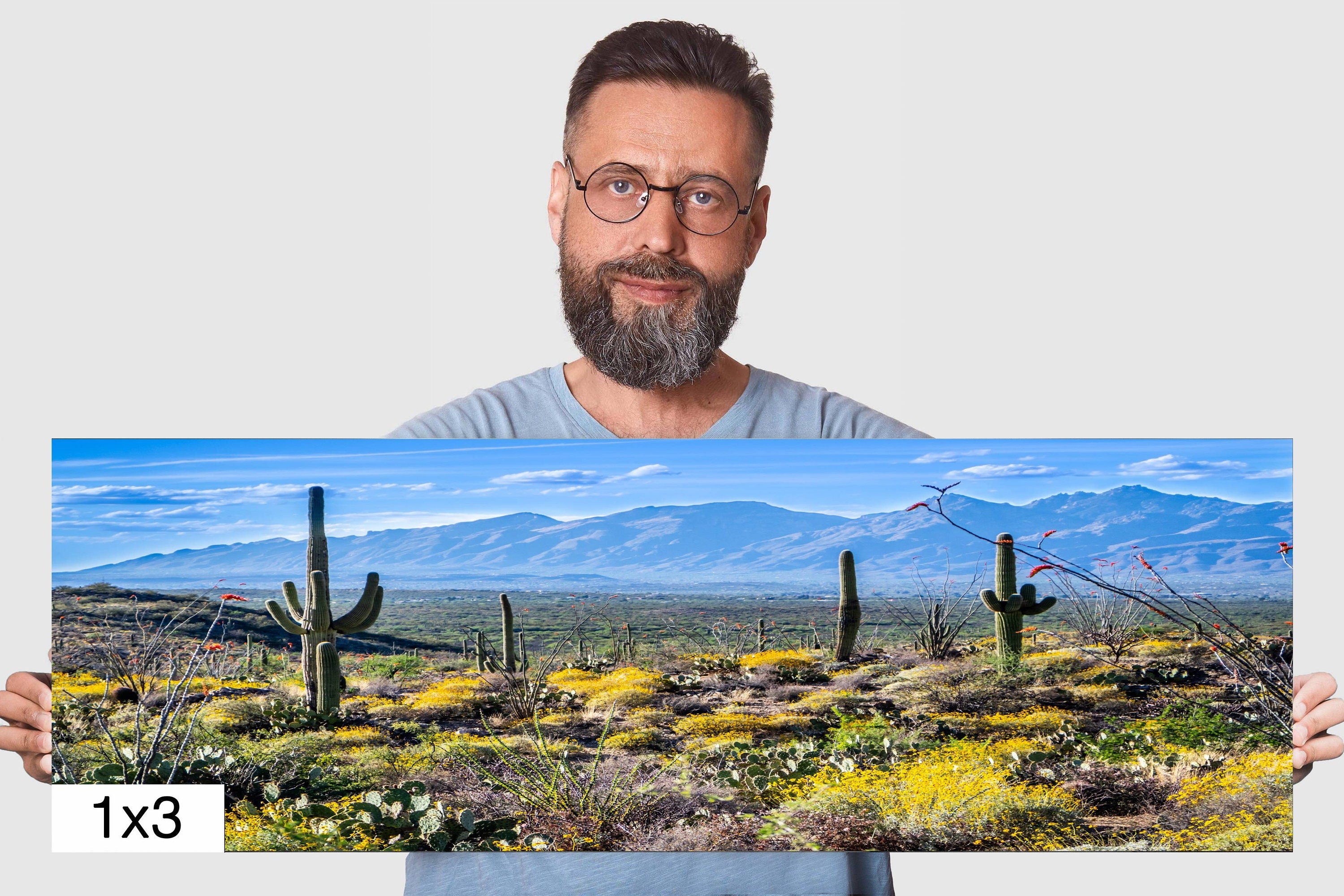 Nature's Contrast: Yellow Desert Cactus Saguaro National Park Wall Art Photography