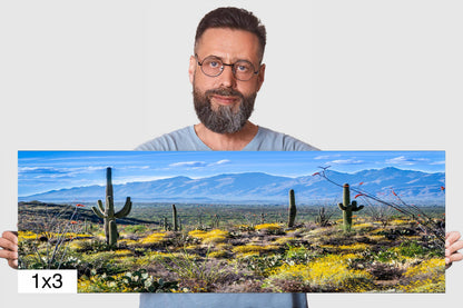 Nature's Contrast: Yellow Desert Cactus Saguaro National Park Wall Art Photography