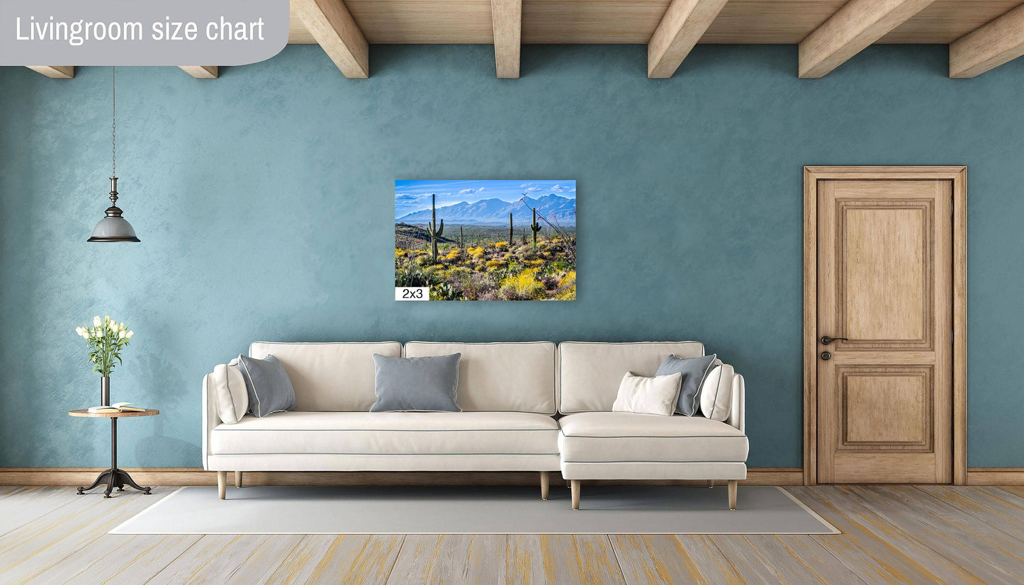 Nature's Contrast: Yellow Desert Cactus Saguaro National Park Wall Art Photography
