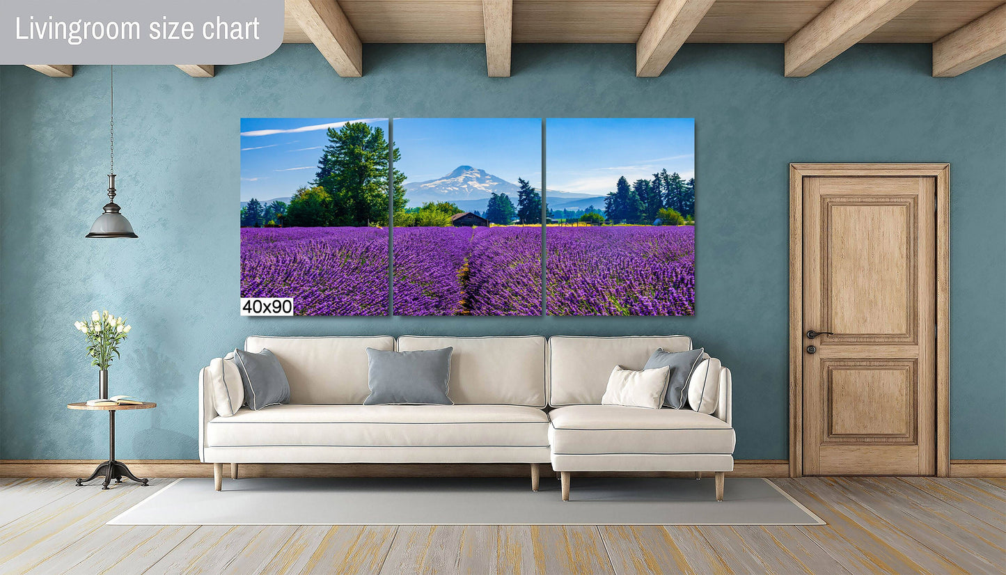 Mt Hood Lavender Field Print: Oregon Landscape Photography