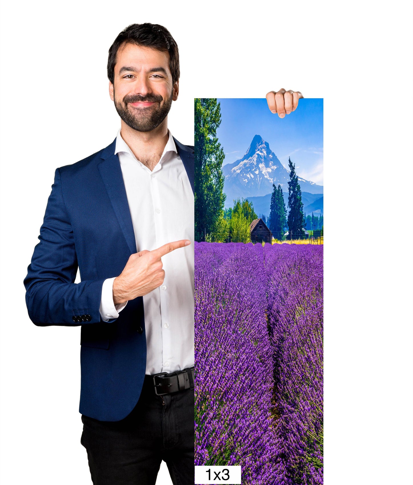 Mt Hood Lavender Field Print: Oregon Mountain Flower Photography