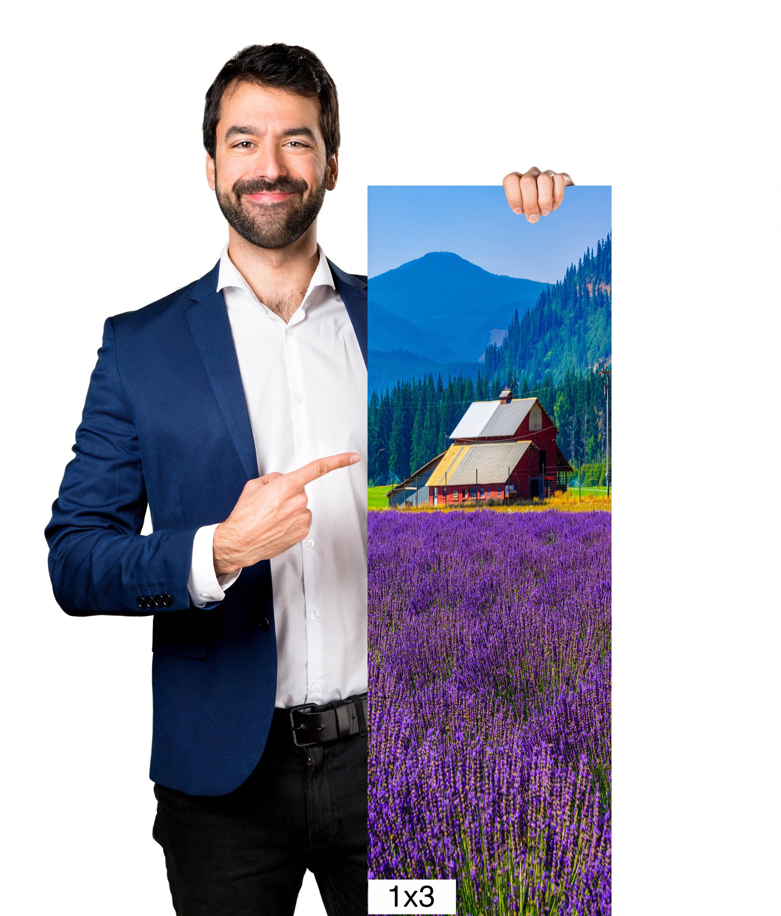 Lavender Field Print: Mount Hood, Oregon Landscape Photography