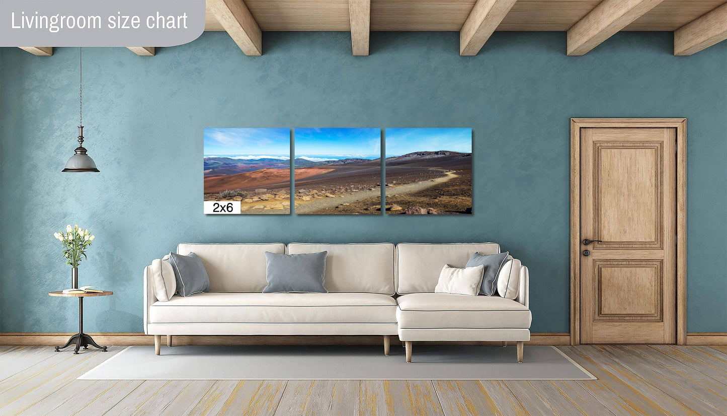 Trail to a New World: Haleakala Volcano Maui Canvas Print Wall Art Home Decor