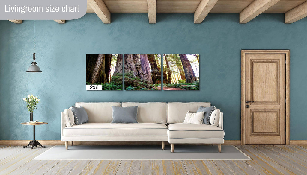 Forest Cathedral: Redwood Giants Wall Sequoia National Park Photography California