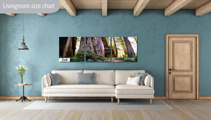 California Redwoods Wall Art - Redwood National Park Canvas Print | Giant Trees Photography