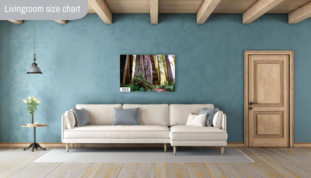 Forest Cathedral: Redwood Giants Wall Sequoia National Park Photography California
