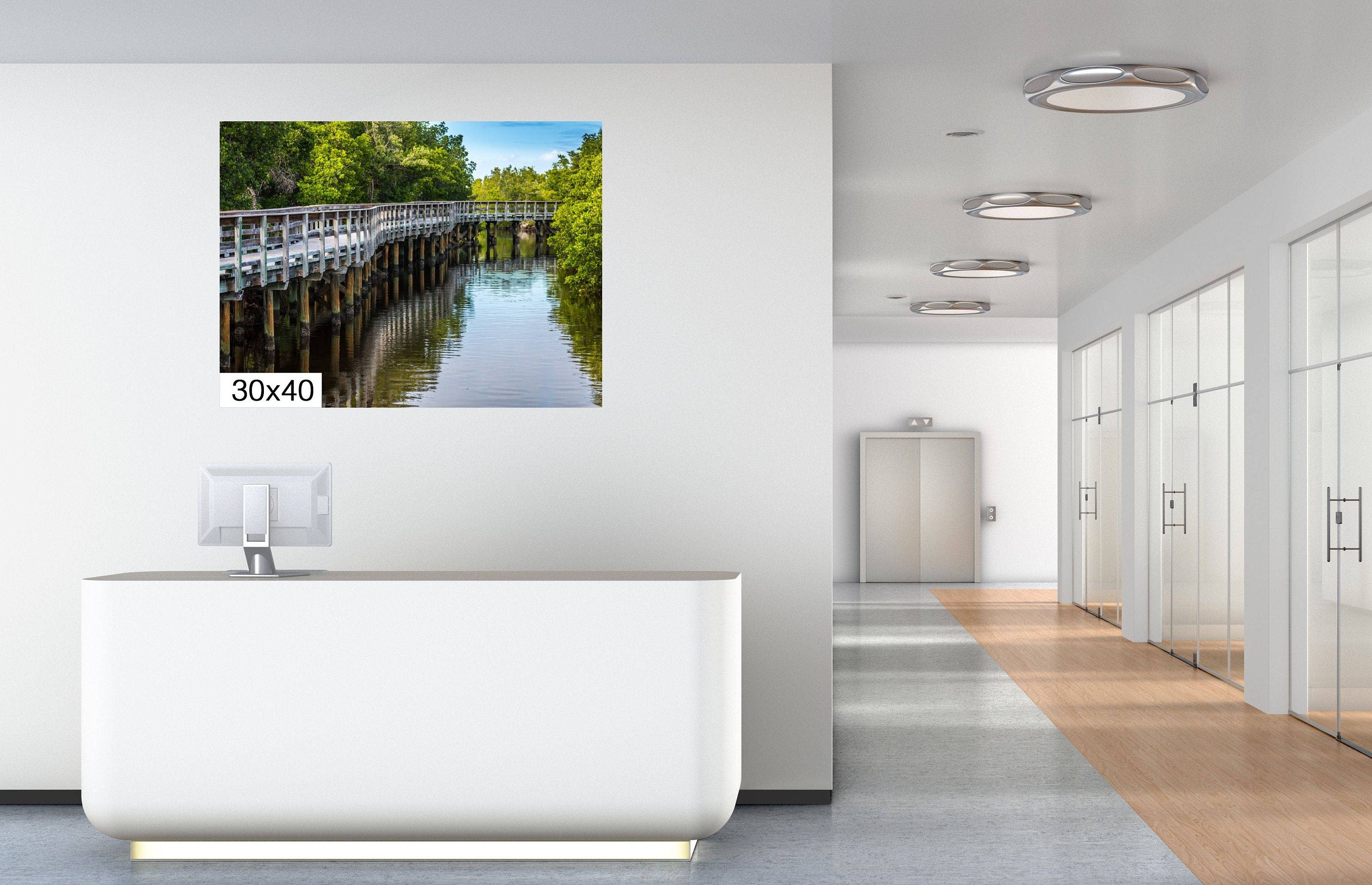 Whispers of the Mangrove: Boardwalk Bridge Robinson Preserve Wall Art Mangrove Forest Nature Photography