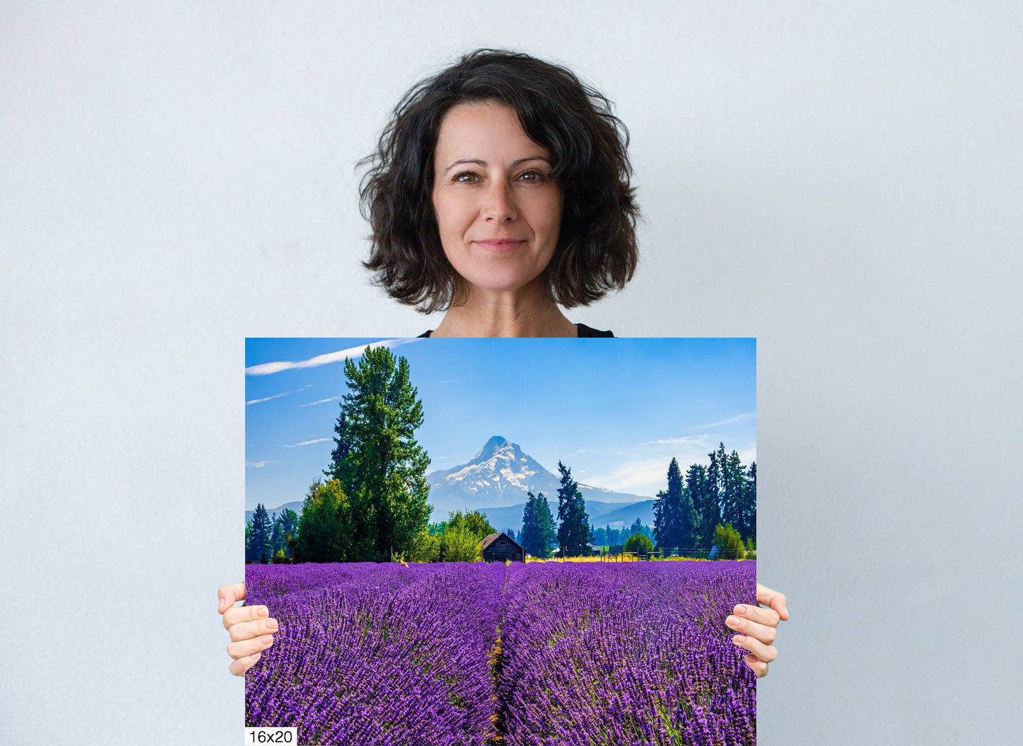 Mt Hood Lavender Field Print: Oregon Landscape Photography