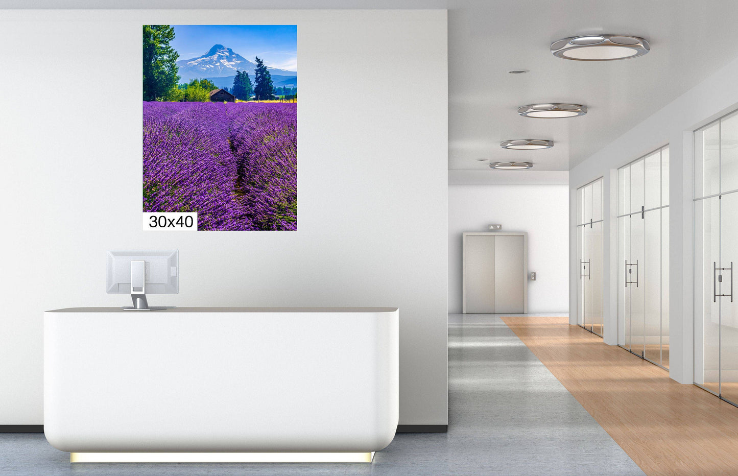 Mt Hood Lavender Field Print: Oregon Mountain Flower Photography