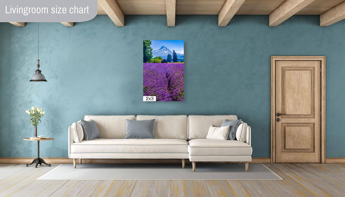 Mt Hood Lavender Field Print: Oregon Mountain Flower Photography
