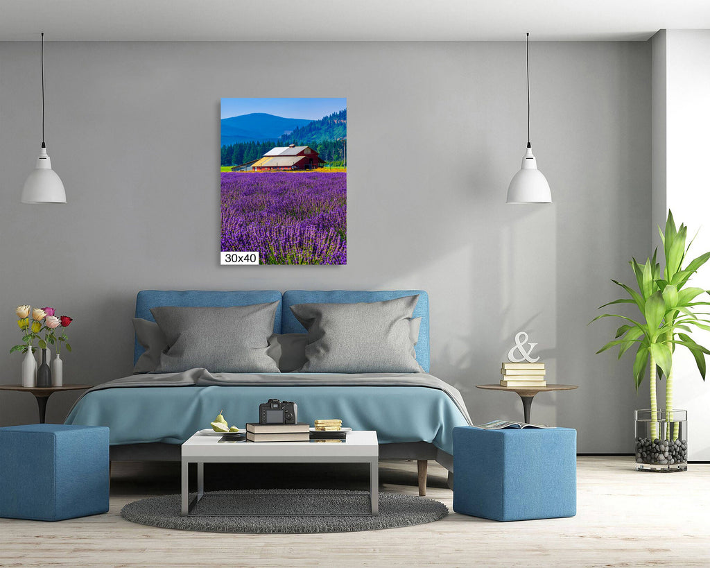 Lavender Field Print: Mount Hood, Oregon Landscape Photography