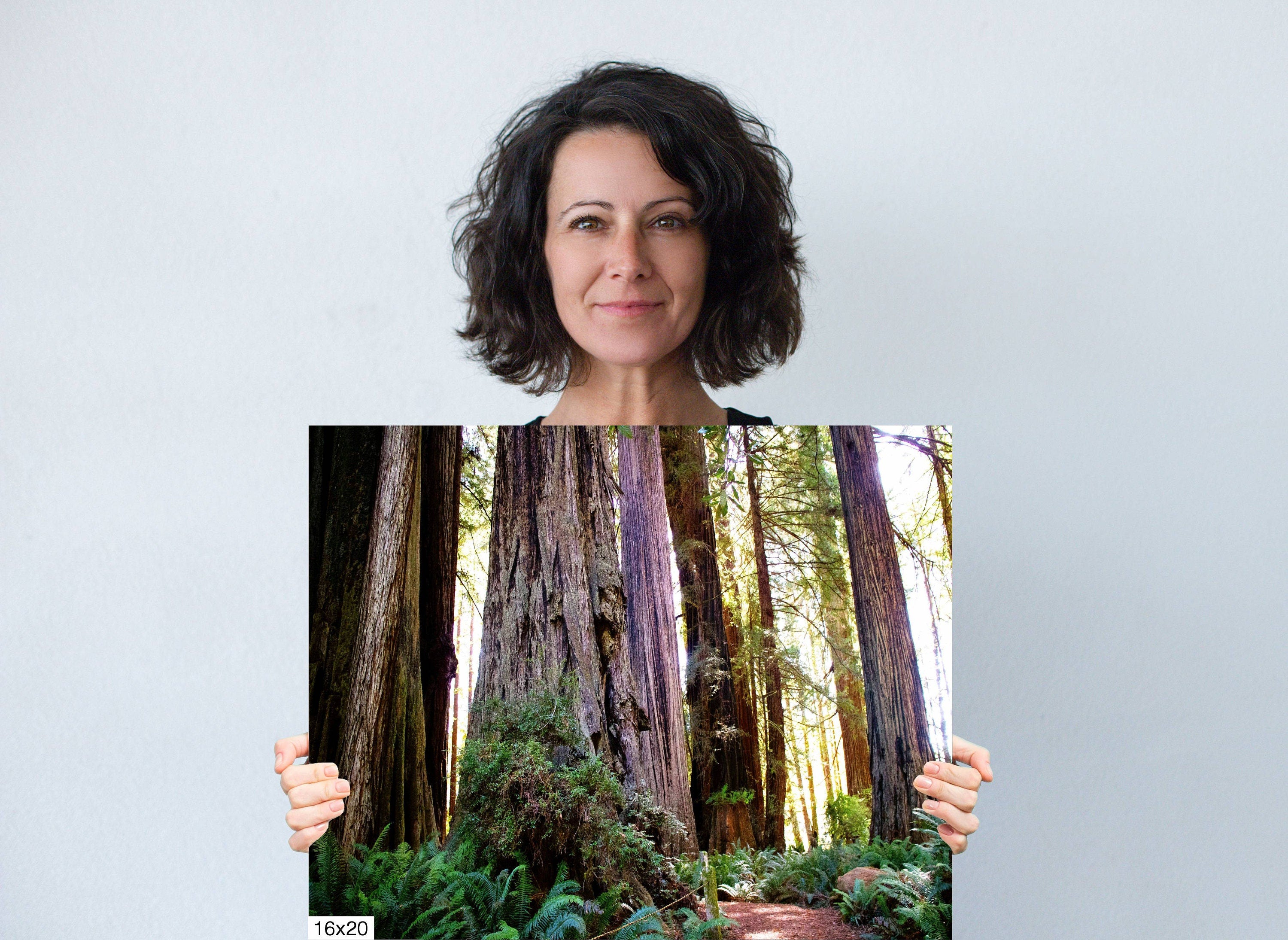 Forest Cathedral: Redwood Giants Wall Sequoia National Park Photography California