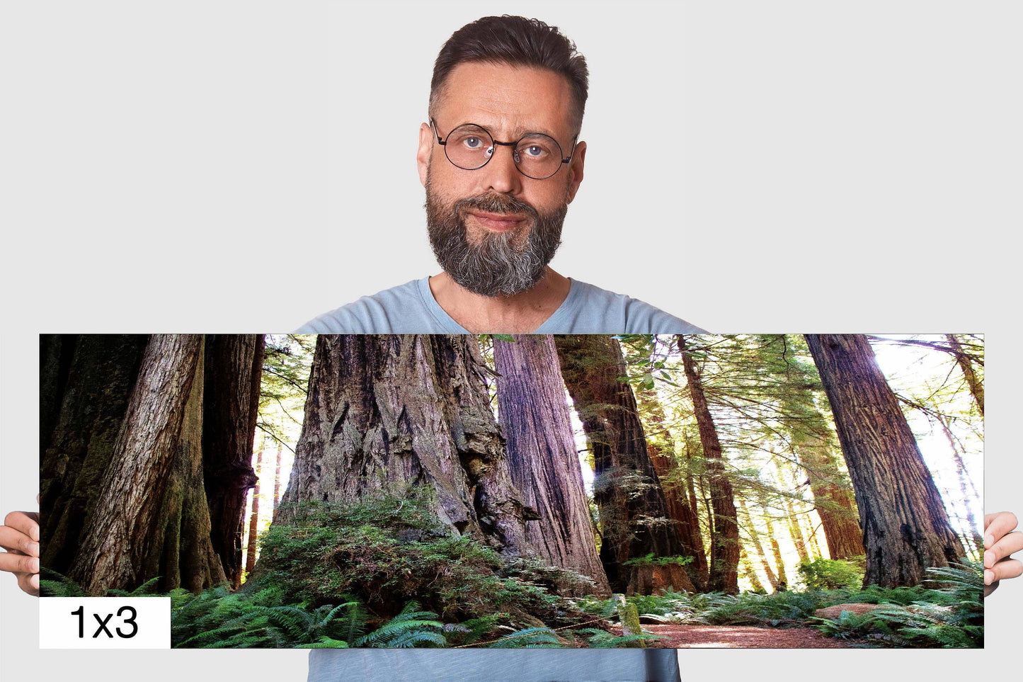 California Redwoods Wall Art - Redwood National Park Canvas Print | Giant Trees Photography