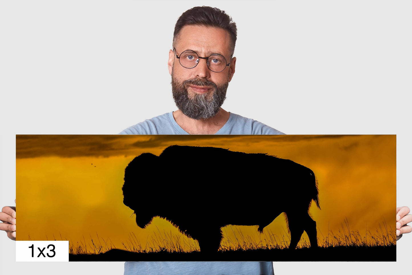 Big Daddy: King of the Badlands Buffalo Silhouette Wildlife Canvas Print Bison Photography Wall Art