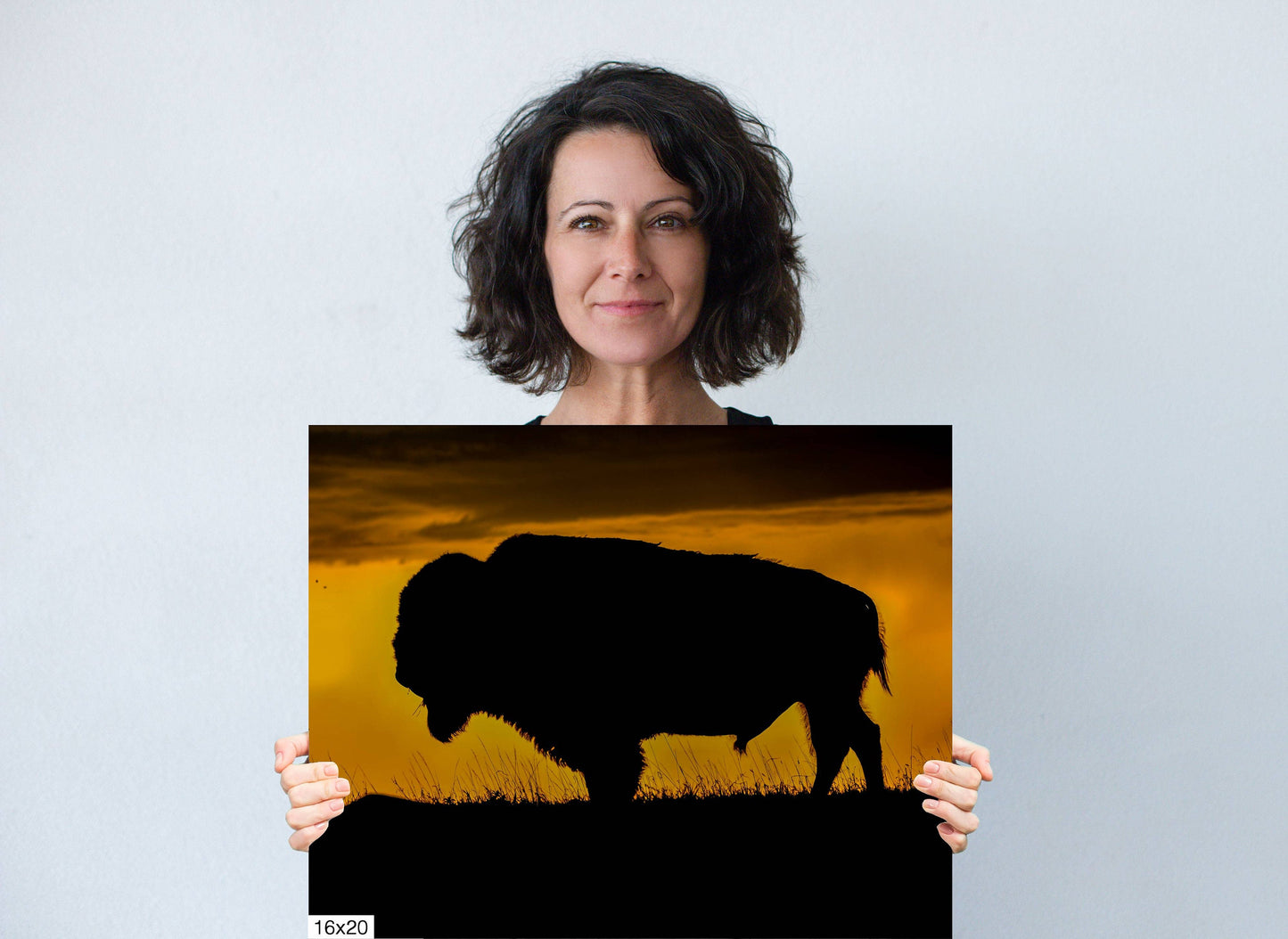 Big Daddy: King of the Badlands Buffalo Silhouette Wildlife Canvas Print Bison Photography Wall Art