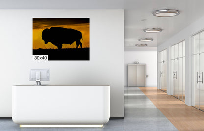 Big Daddy: King of the Badlands Buffalo Silhouette Wildlife Canvas Print Bison Photography Wall Art